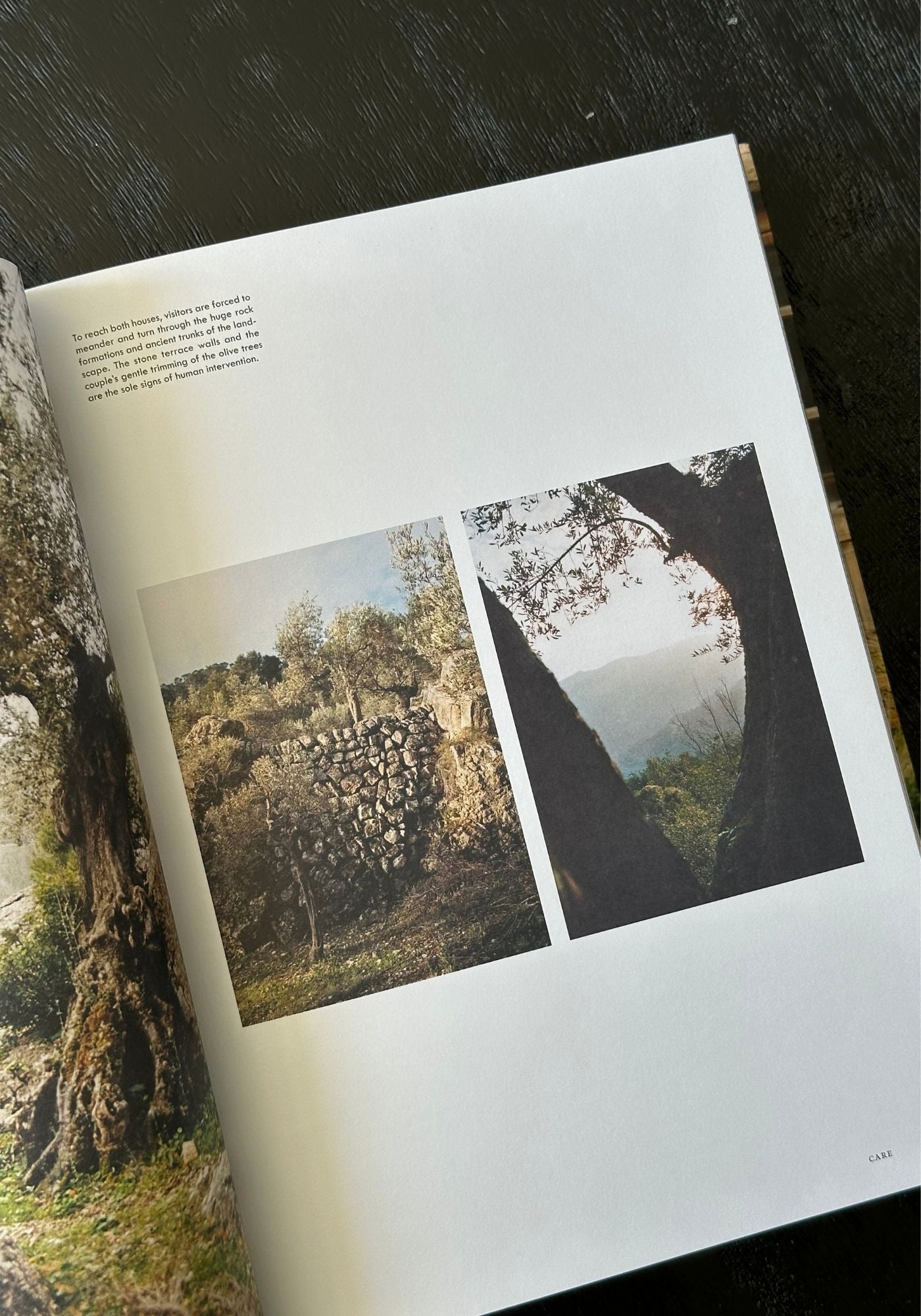 Open book with scenic photographs of nature on a dark surface