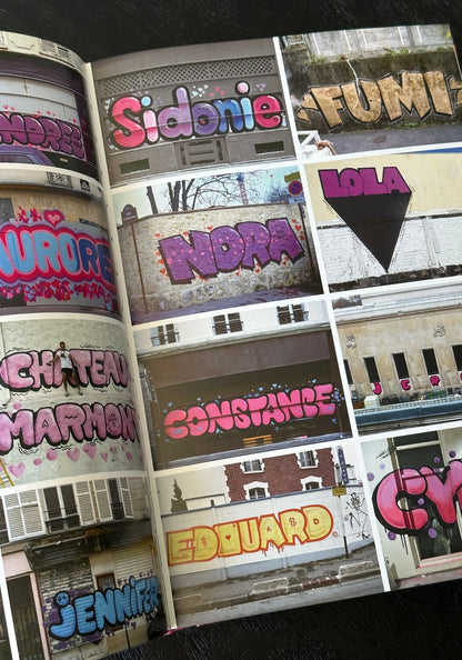 Andre Saraiva: Graffiti Life Book