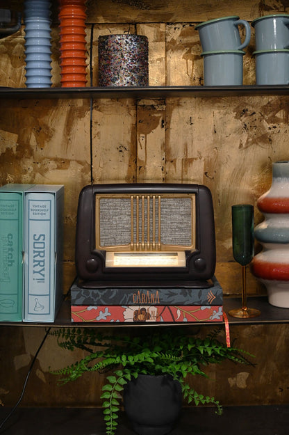Refurbished Vintage Ducretet Thomson D.284 Radio Speaker