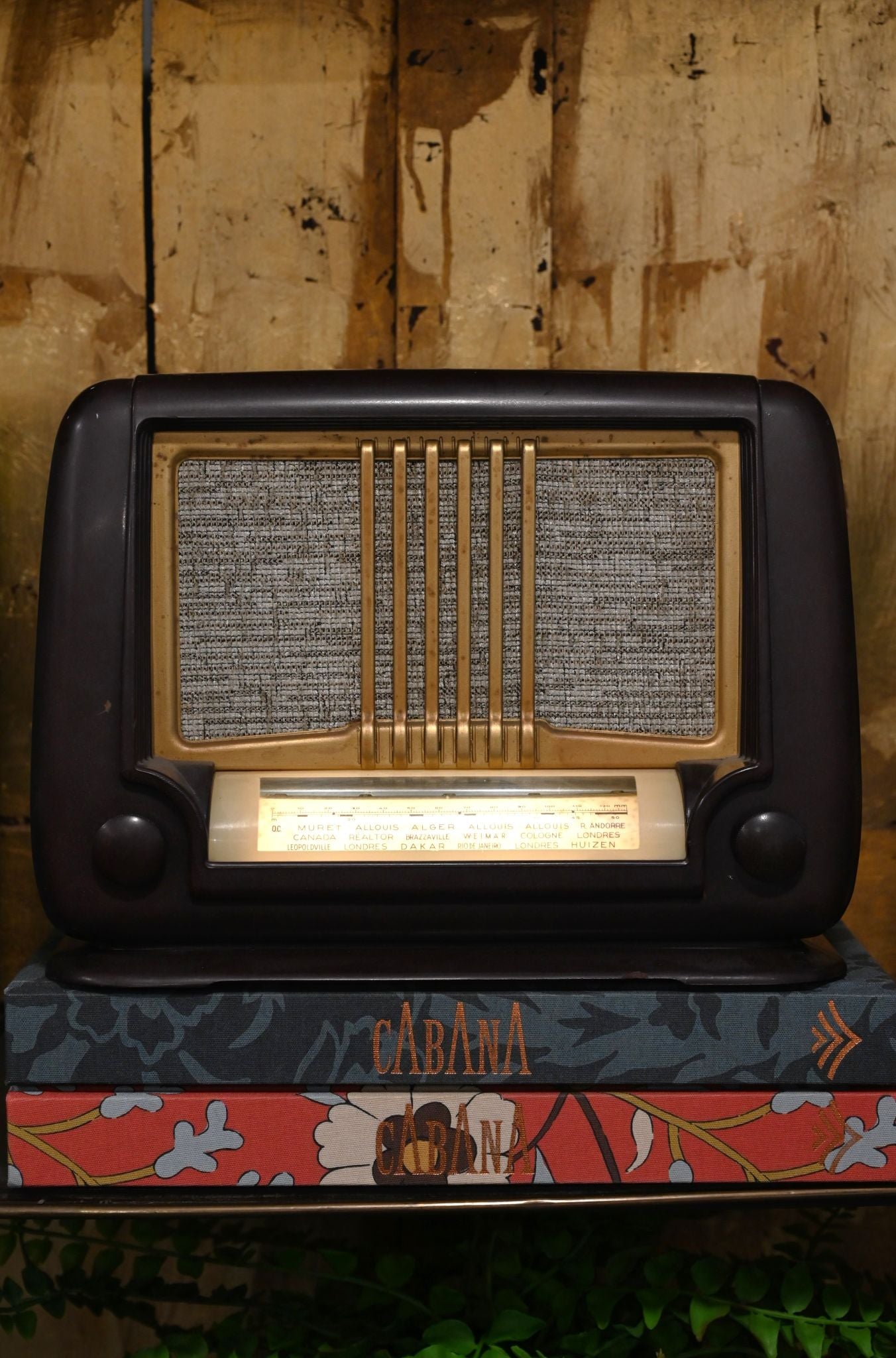 Refurbished Vintage Ducretet Thomson D.284 Radio Speaker