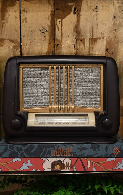 Refurbished Vintage Ducretet Thomson D.284 Radio Speaker