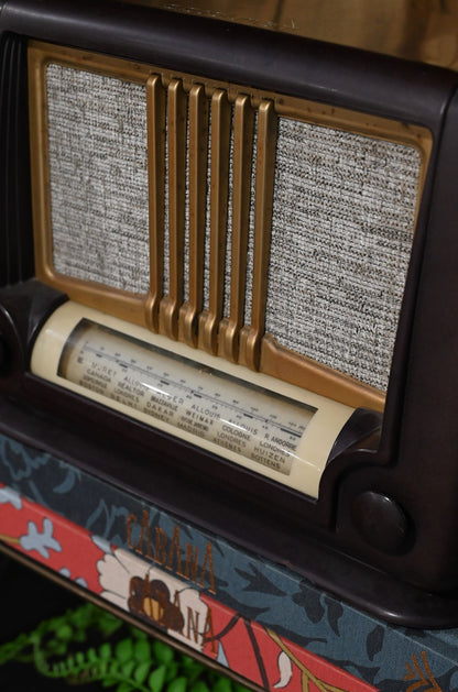 Refurbished Vintage Ducretet Thomson D.284 Radio Speaker