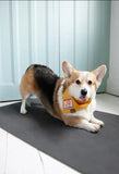 Merit Badge Patches for Dogs