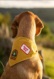 Merit Badge Patches for Dogs