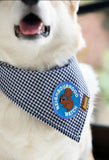 Merit Badge Patches for Dogs