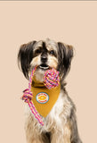 Merit Badge Patches for Dogs