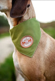 Merit Badge Patches for Dogs