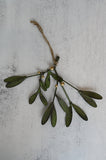 Green Mistletoe Decorations