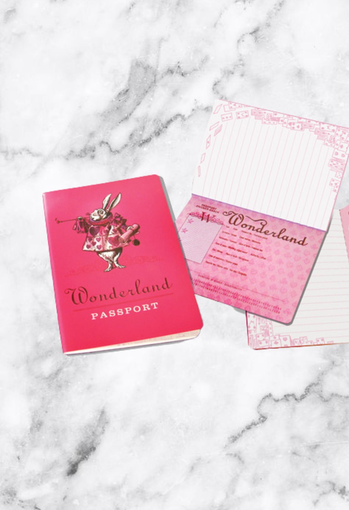 Wonderland Pocket Notebook