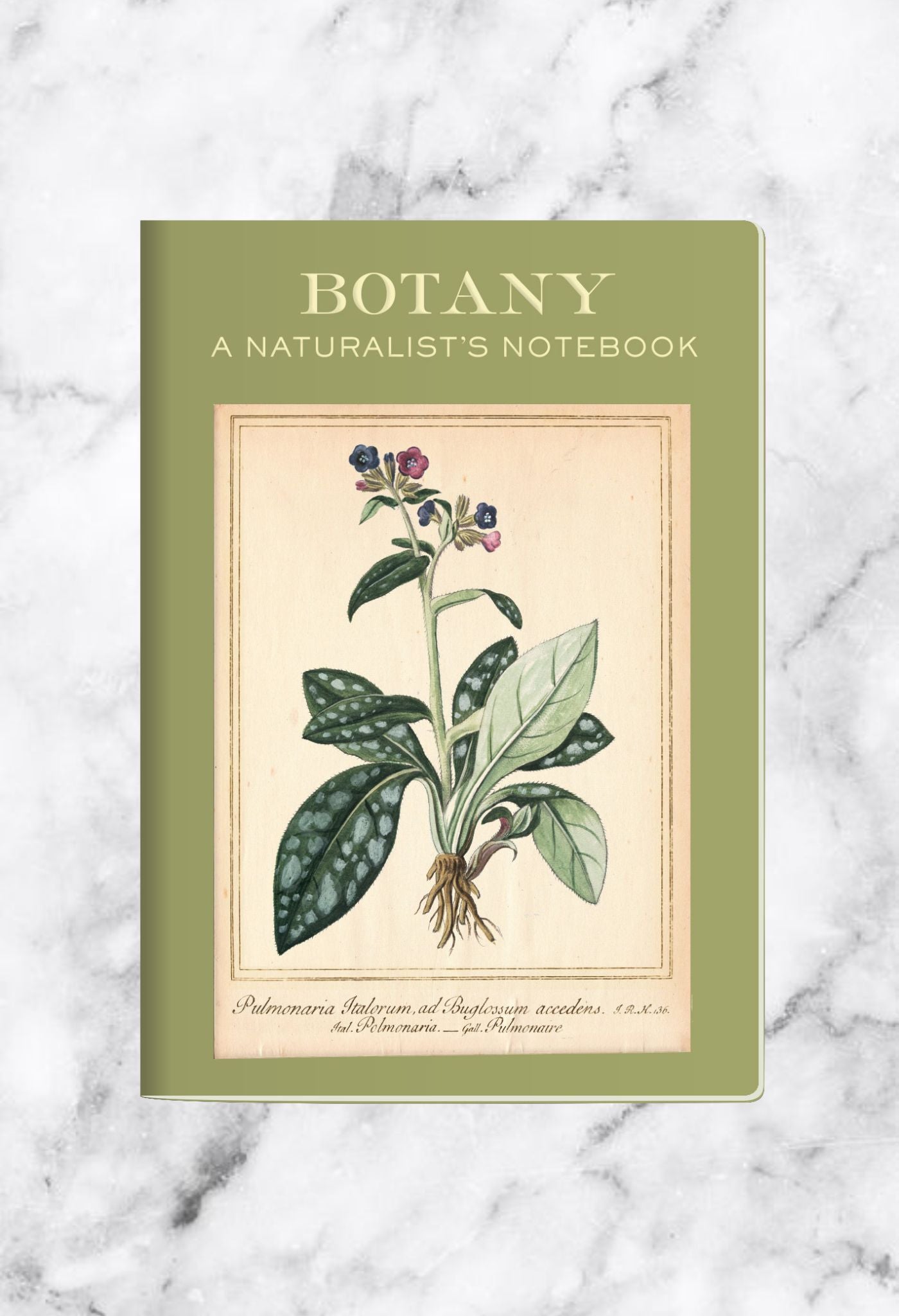 Botanik-Taschennotizbuch 