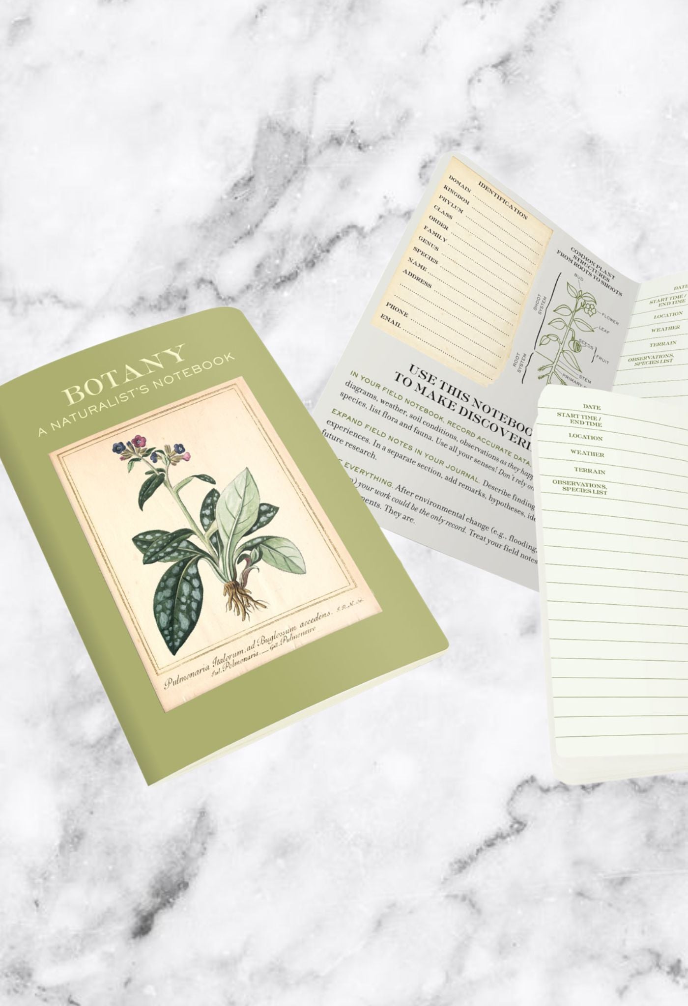 Botany Pocket Notebook
