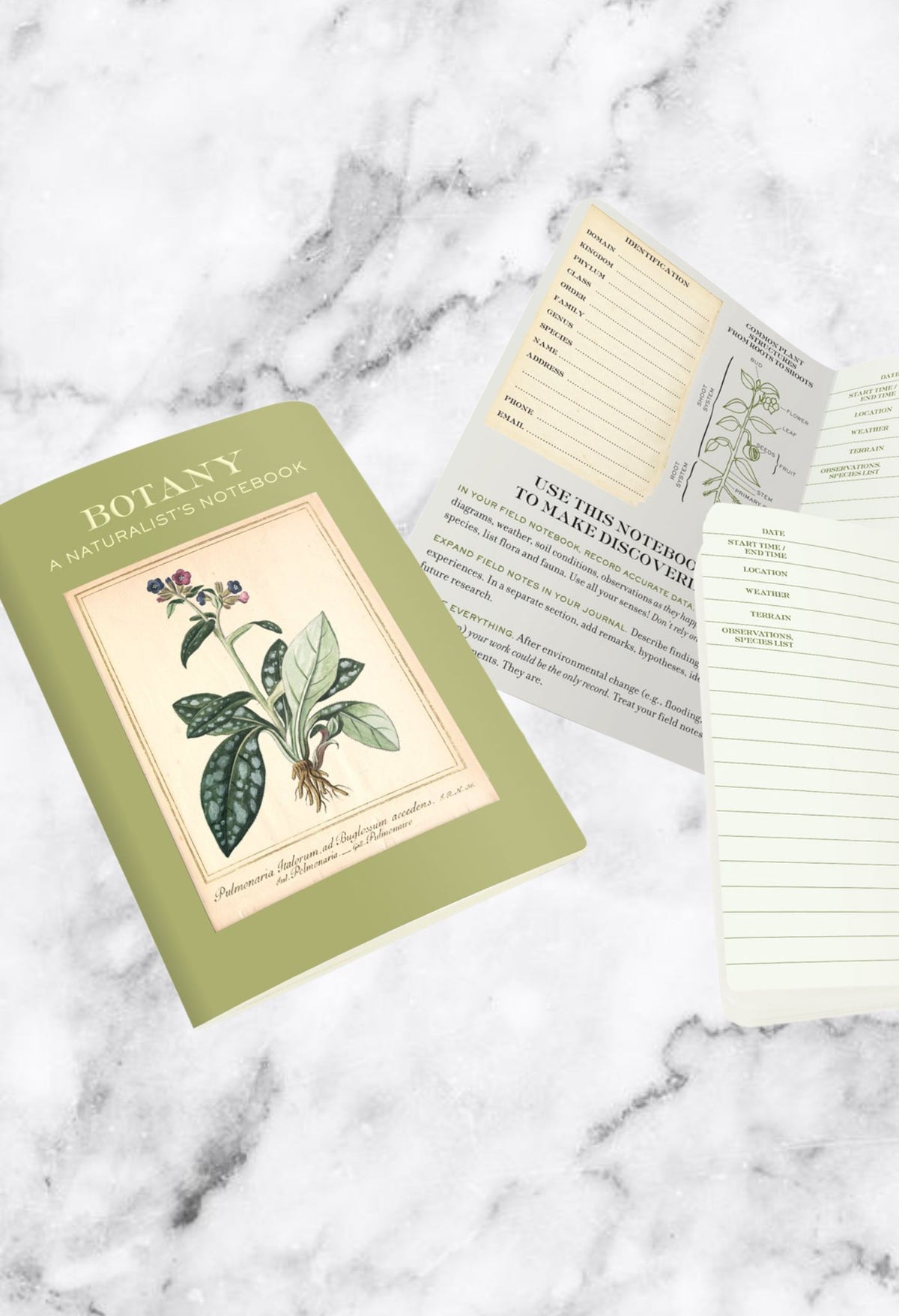 Botany Design Note Book Botany Olive Green Pocket Notebook | Naturalist Journal – Always Sunday ...