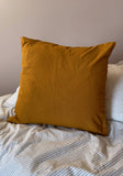 Coloured Linen Cushions