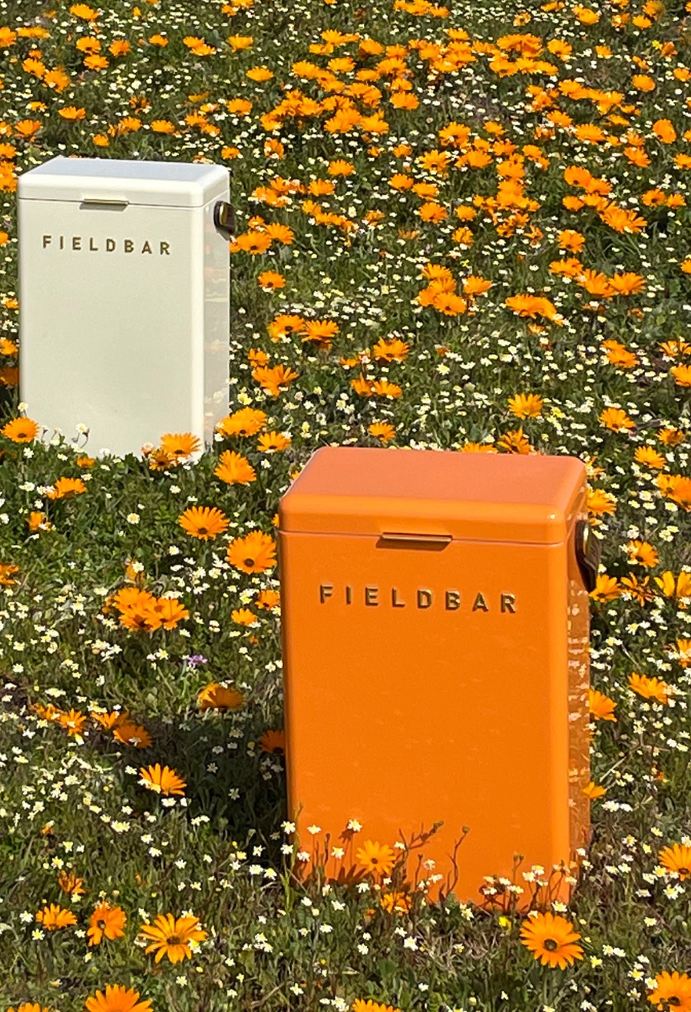 fieldbar drinks cooler in multiple colours – pastel and bold options for summer gifting