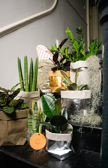 Plants