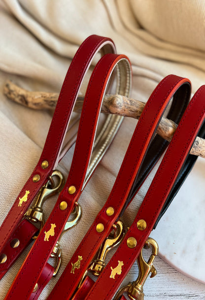 Luxury Padded Leather Leads