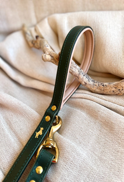 Luxury Padded Leather Leads