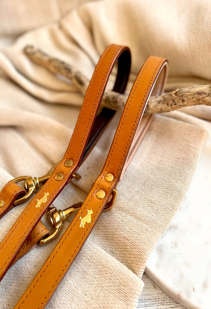Luxury Padded Leather Leads